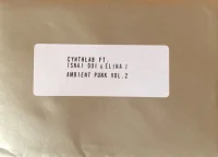 Ambient Punk Vol.2