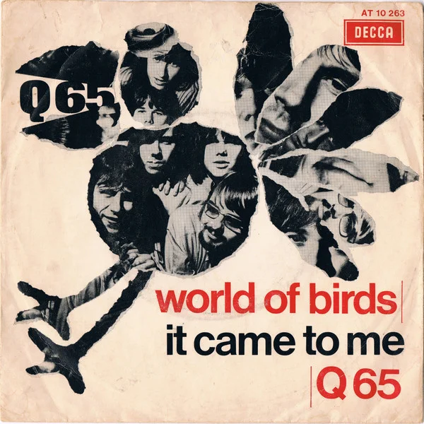World Of Birds / It Came To Me