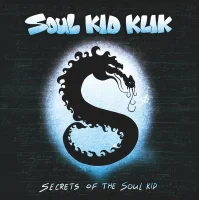 Secrets Of The Soul Kid