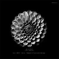 9 Mois Remixes