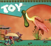Toy