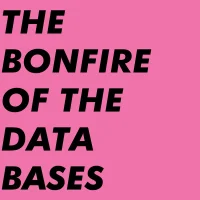 The Bonfire Of The Databases