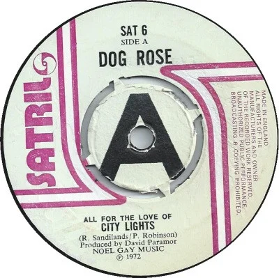 City Lights