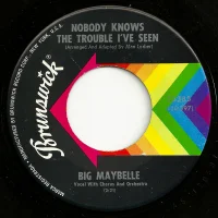 Nobody Knows The Trouble I've Seen / Do Lord