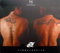 Turbulencija