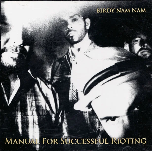 Manual For Successful Rioting