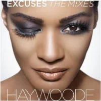 Excuses (The Mixes)