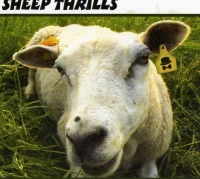 Sheep Thrills