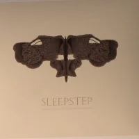 Sleepstep - Sonar Poems For My Sleepless Friends