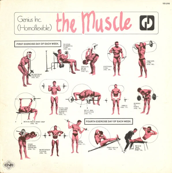 The Muscle