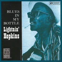Blues In My Bottle