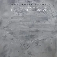 In The Bottom of The Ancient Ocean