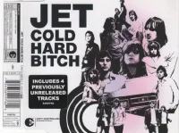 Cold Hard Bitch