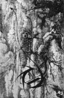 Hiljaiset Sanat