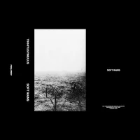 Soft Rains