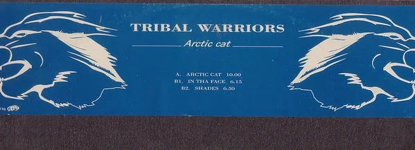 Arctic Cat