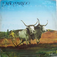 Mão No Arado