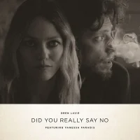 Did You Really Say No