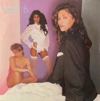 Vanity 6