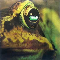 Toad
