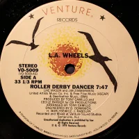 Roller Derby Dancer