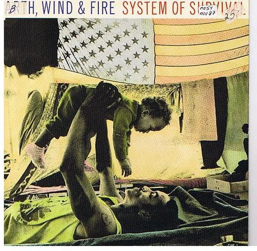 System Of Survival