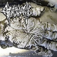 Symphony Of Necrosis
