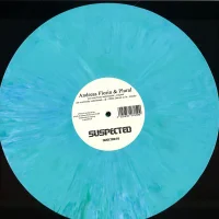 Chord Memory / Not Everybody Understands
