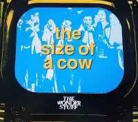The Size Of A Cow
