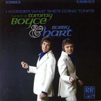 I Wonder What She's Doing Tonite: The Best Of Tommy Boyce & Bobby Hart