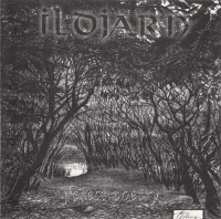 Forest Poetry