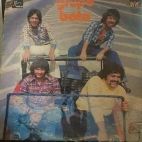 Grupo Bota
