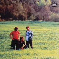 Green Fields