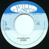 A Boy Named Junior