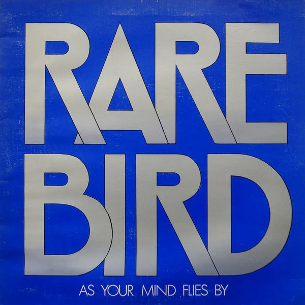 As Your Mind Flies By