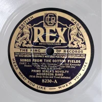 Songs From The Cotton Fields