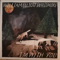 I'm With You