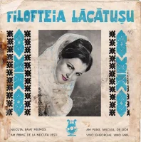 Neicuță, Băiat Frumos