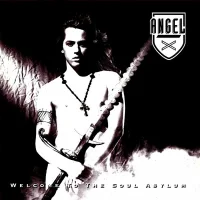 Welcome To The Soul Asylum