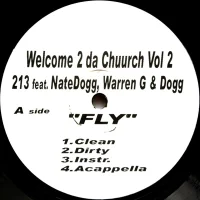 Fly