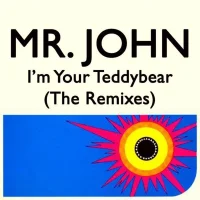 I'm Your Teddybear (The Remixes)