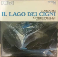 Il Lago Dei Cigni