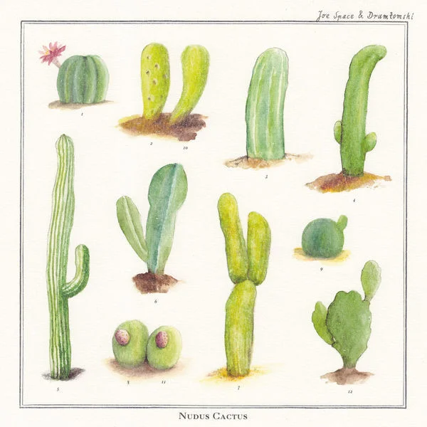 Nudus Cactus
