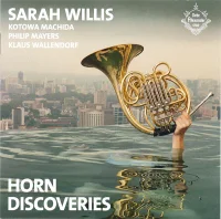 Horn Discoveries