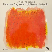 Elephant's Easy Moonwalk Through The Night
