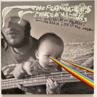 Dark Side Of The Moon
