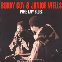 Pure Raw Blues