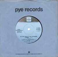 At The Sign Of The Swinging Cymbal (Theme From "Pick Of The Pops")