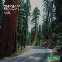 Sequoia (Part 1)