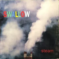 Steam